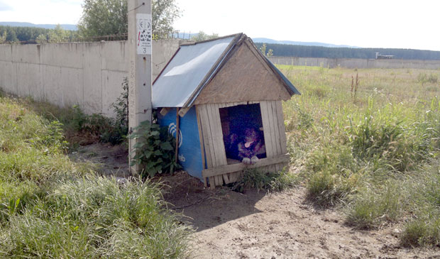 Дечак одбранио оца и сестру од шарпланинца